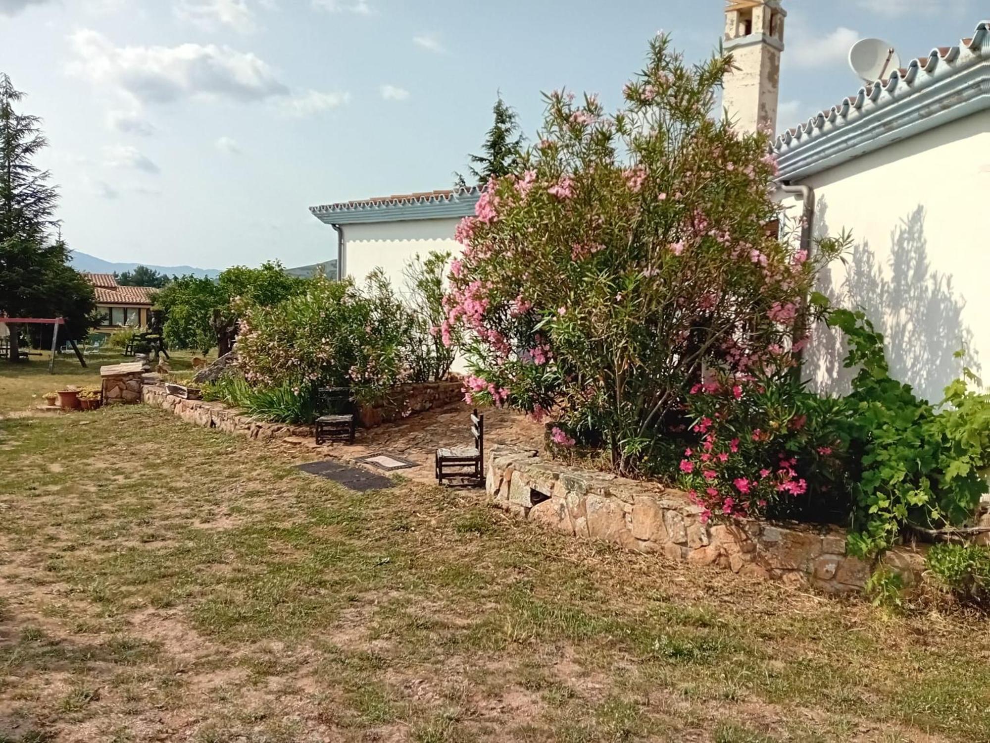 Lugori Bed & Breakfast Seulo Exterior photo